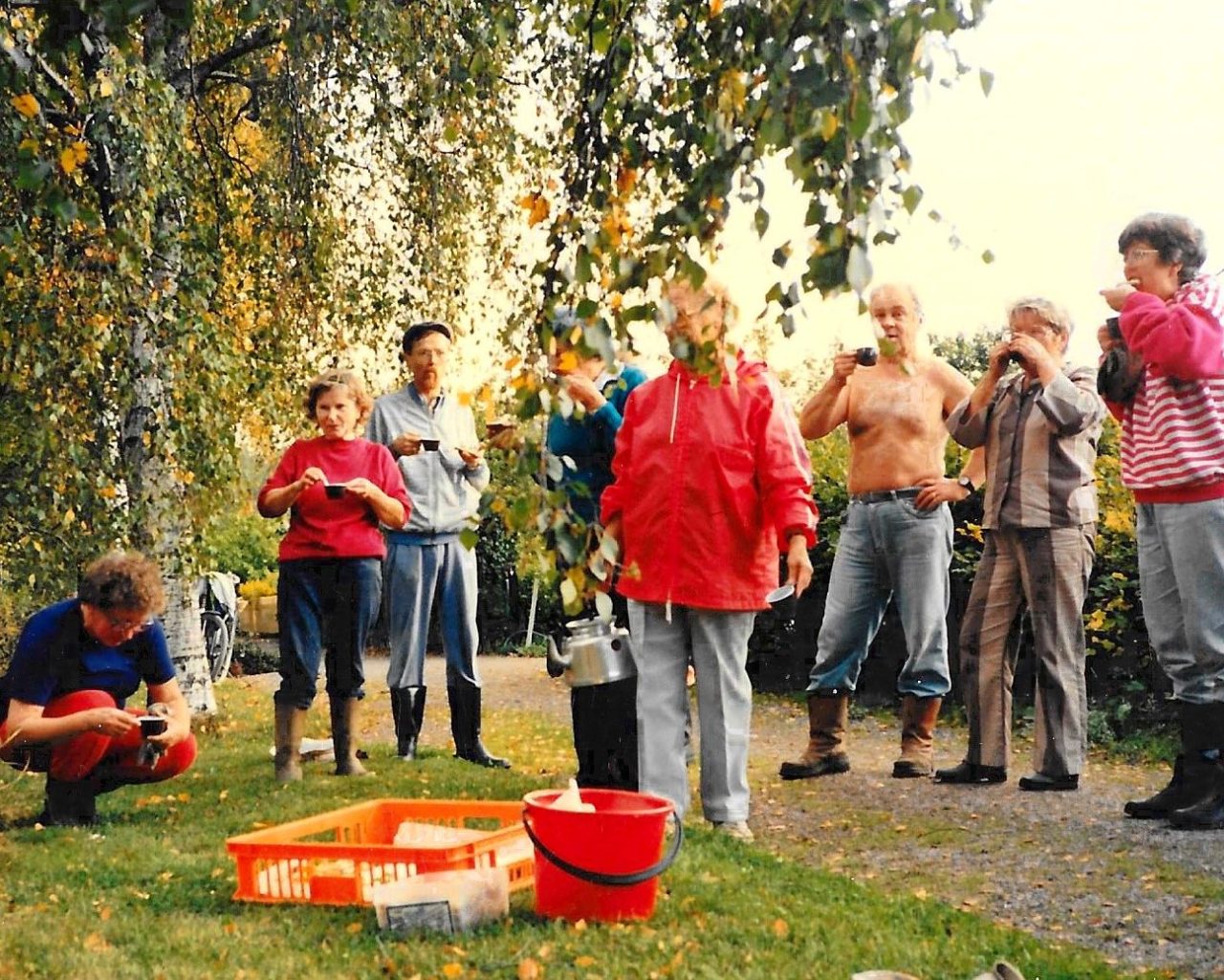 1989 Tuomipihlajaa istutettiin talkoilla Koivupolulla