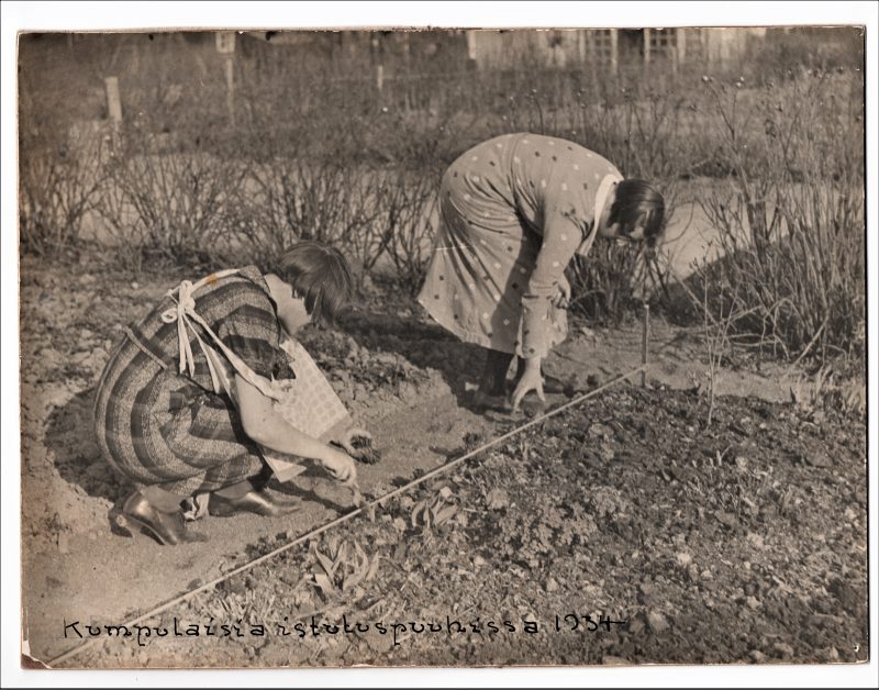 Naiset kylvotoissa 1934, Helsingin kaupunginmuseo
