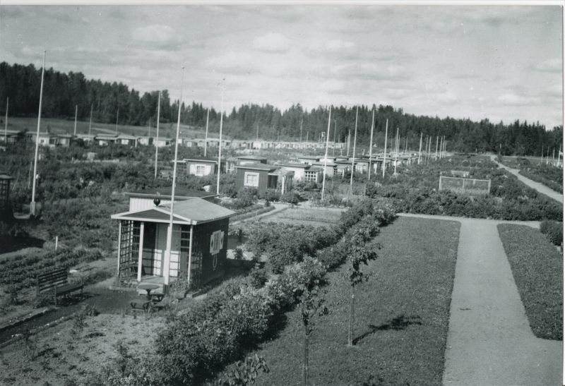 Ruusutie ja Liljatie ennen 1934, Helsingin kaupunginmuseo